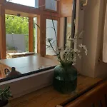 Blick Ins Gruene *