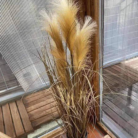 Blick Ins Gruene Apartment