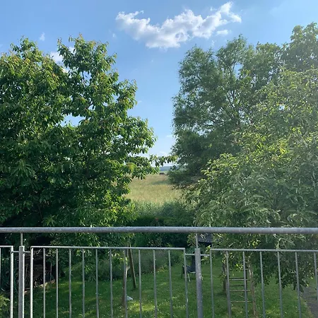 Apartment Blick Ins Gruene *