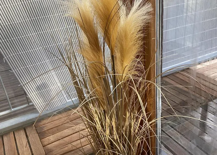 Blick Ins Gruene Apartamento